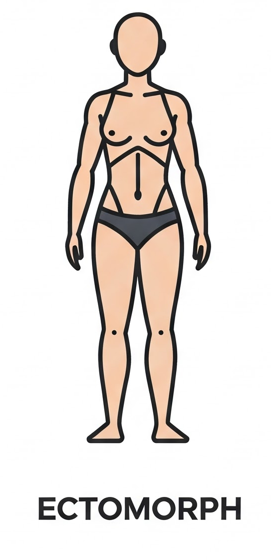 Ectomorph Body Type